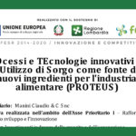 progetto proteus forno manini