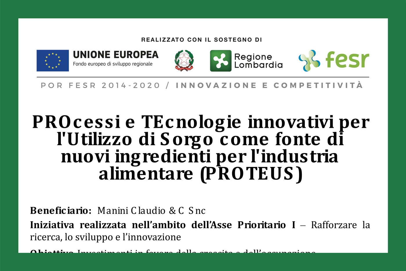 progetto proteus forno manini